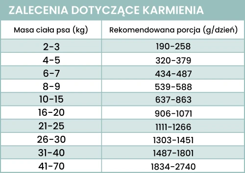 dorsz-zalecenia (1).webp