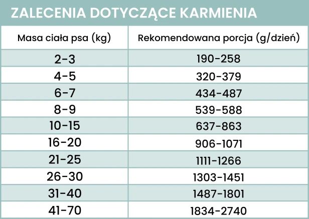 dorsz-zalecenia (1).webp