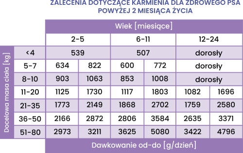 dawkowanie-JUNIOR-Krolik-z-dynia.png