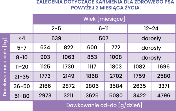 dawkowanie-JUNIOR-Krolik-z-dynia.png