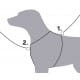szelki-trekkingowe-premium-m-5364-cm-20-mm-fuksja-grafitowe (1).jpg
